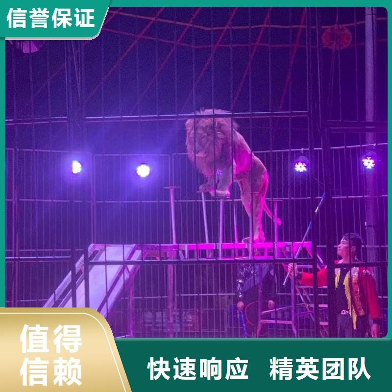 【马戏团/羊驼鹦鹉表演出租价格美丽】