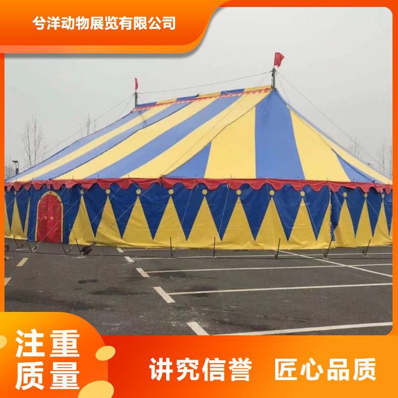马戏团/羊驼【美人鱼出租演出】技术可靠