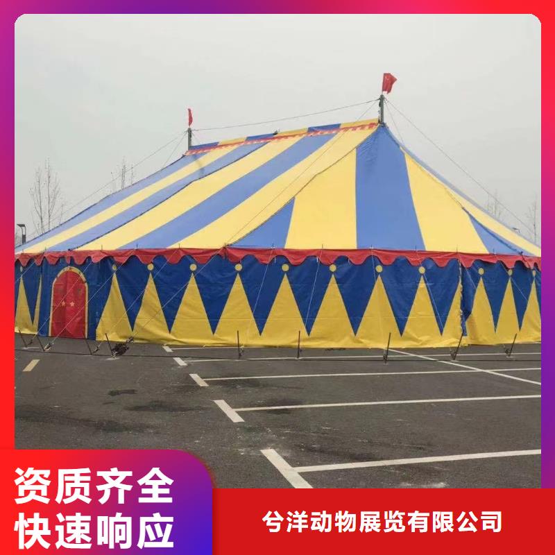 动物表演租赁