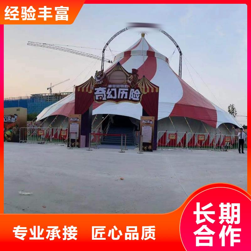 马戏团/羊驼,【企鹅表演出租】技术精湛
