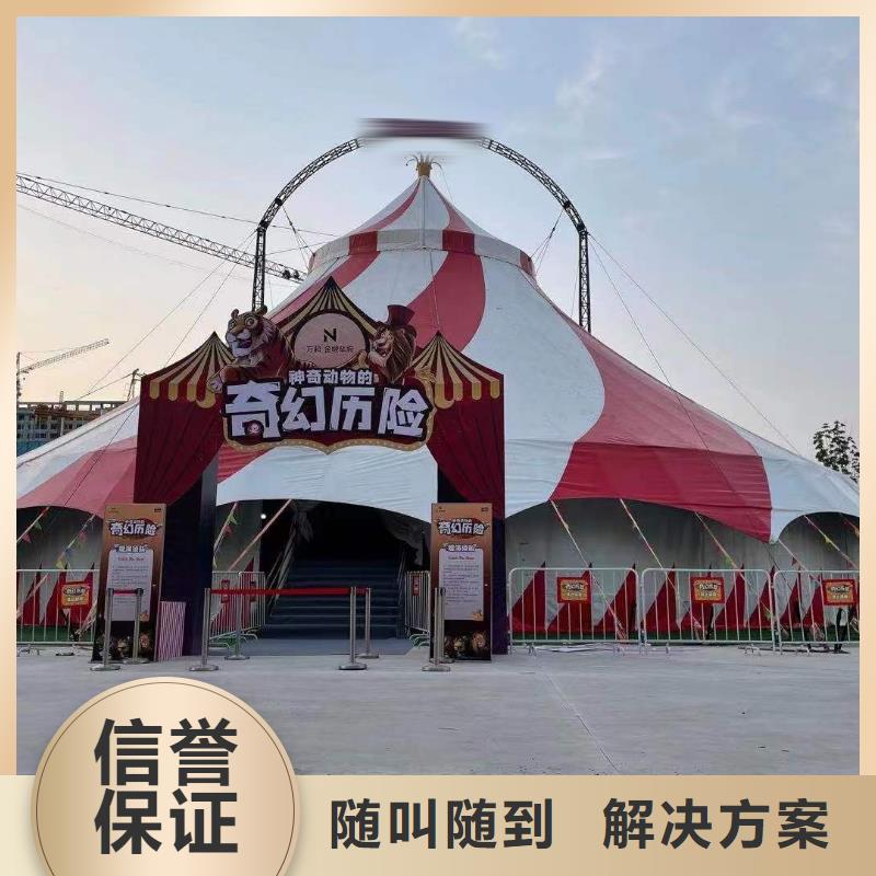马戏团/羊驼美人鱼表演多年行业经验
