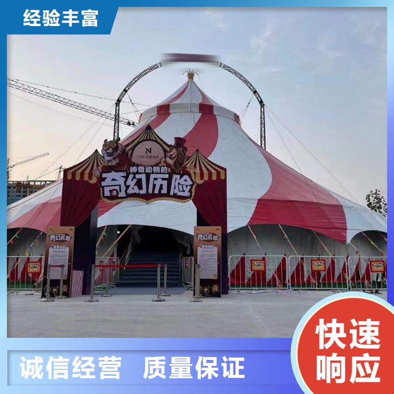 马戏团/羊驼【马戏团表演出租租赁】服务热情