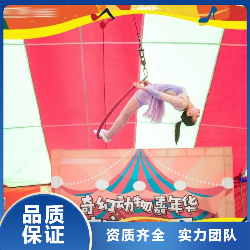 马戏团/羊驼 出租企鹅