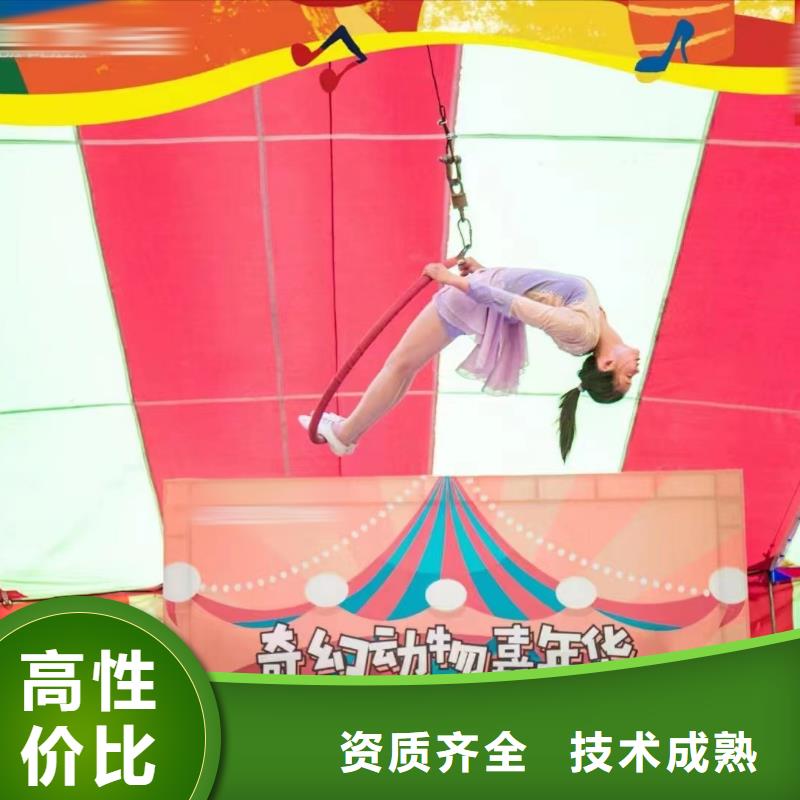 马戏团/羊驼动物展览秀快捷