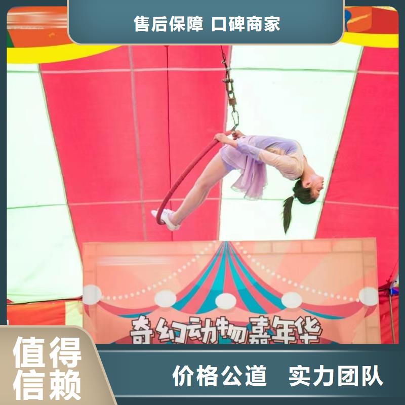 马戏团/羊驼美人鱼表演诚信