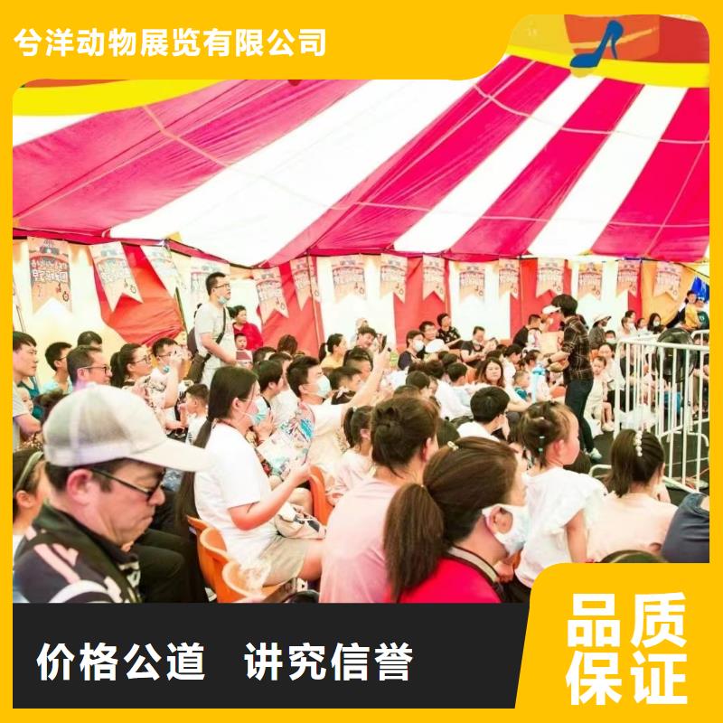 马戏团/羊驼动物展览秀快捷