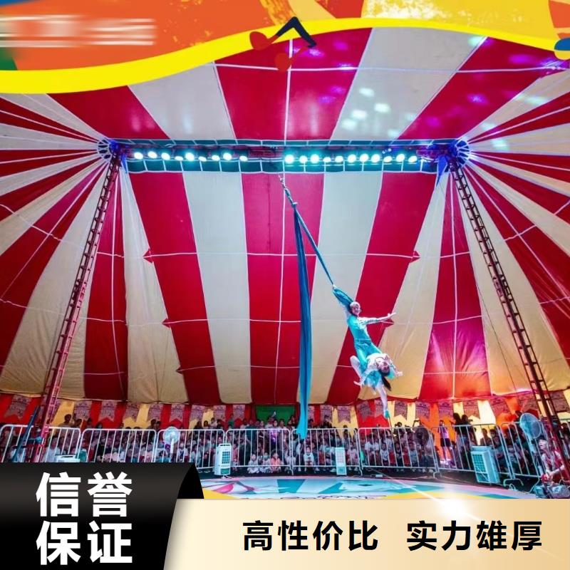 马戏团/羊驼美人鱼表演诚信