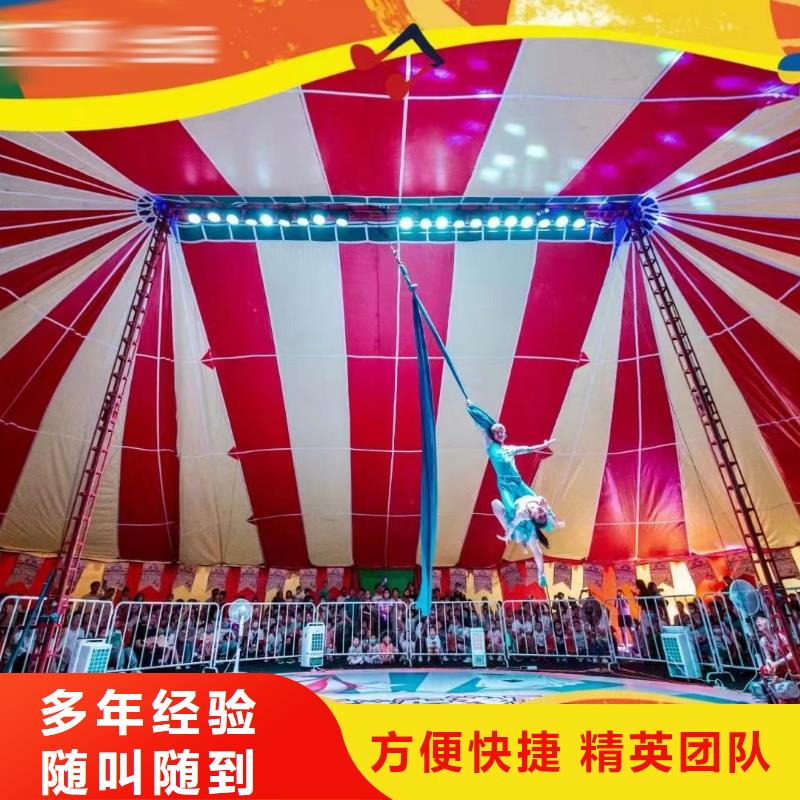 马戏团/羊驼马戏团表演一站搞定