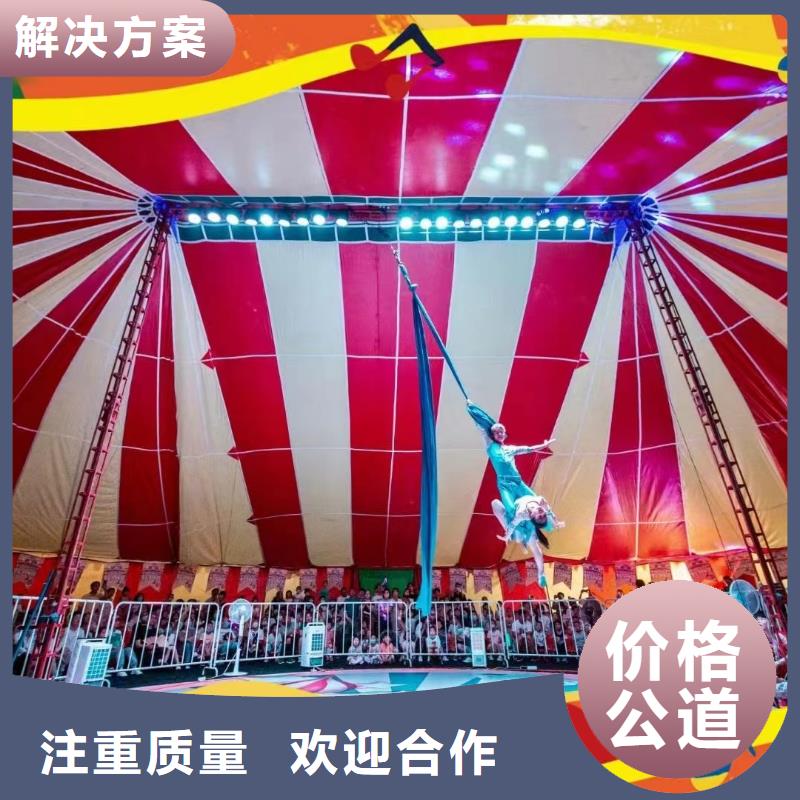 马戏团/羊驼动物杂技表演租赁专业服务