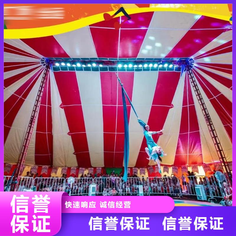 马戏团/羊驼动物展览秀快捷