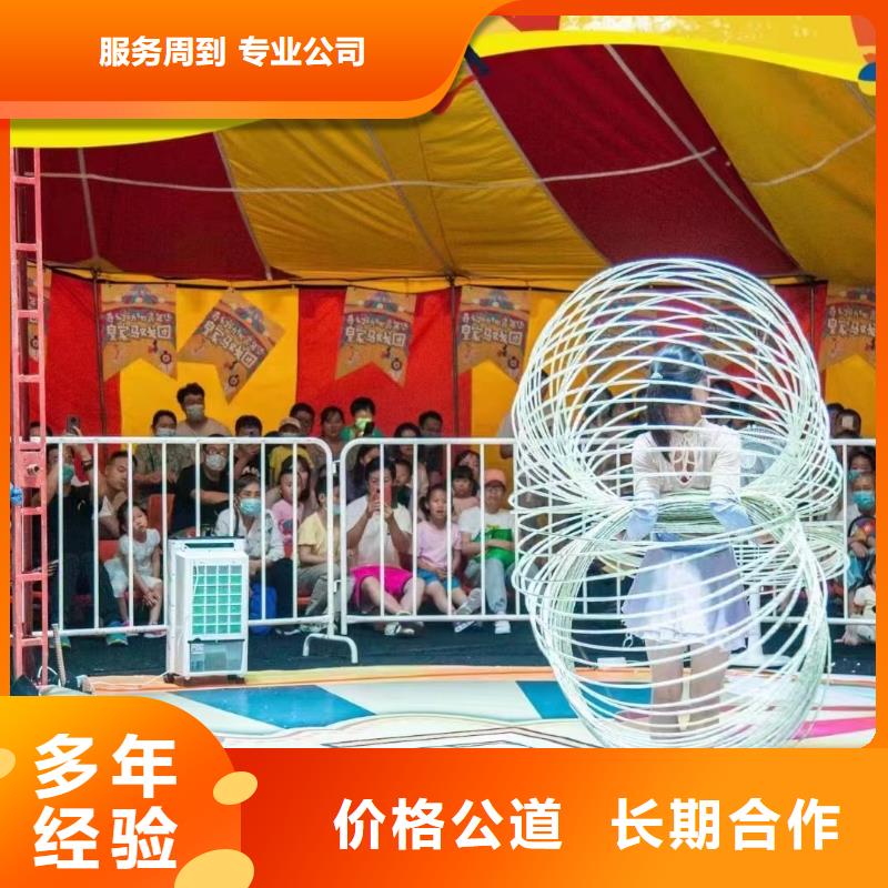 马戏团/羊驼动物展览秀快捷