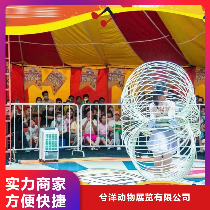 马戏团/羊驼马戏团表演出租租赁口碑商家