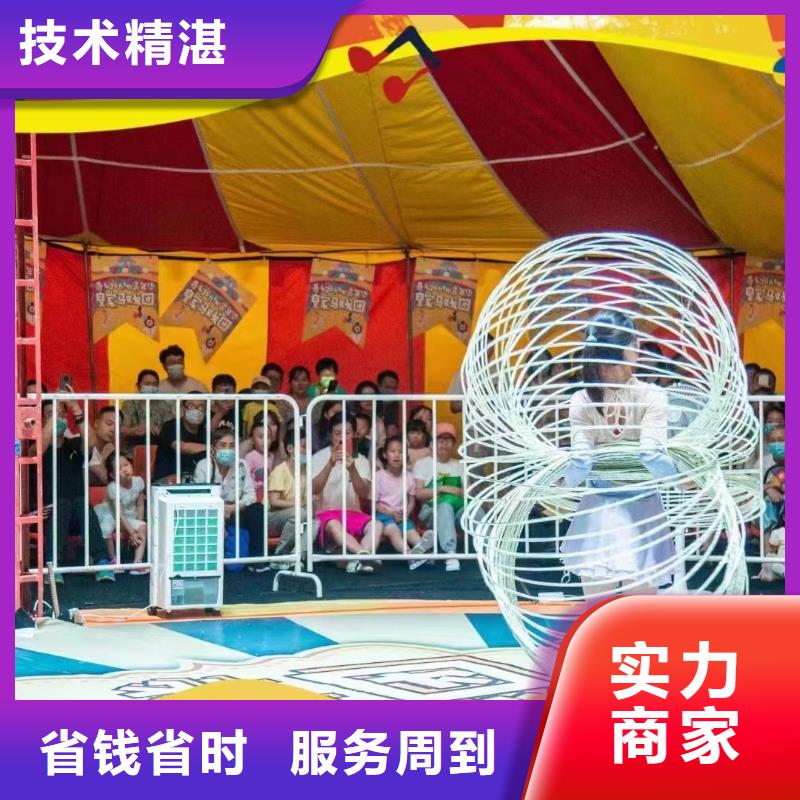 马戏团/羊驼-出租表演鹦鹉口碑公司