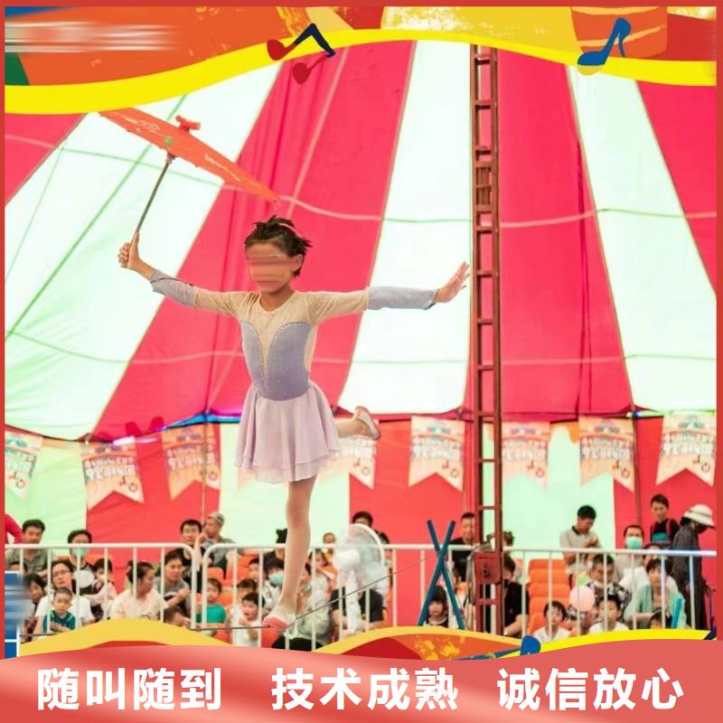 马戏团/羊驼,海狮表演出租技术可靠