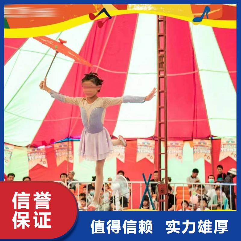 马戏团/羊驼美人鱼表演诚信