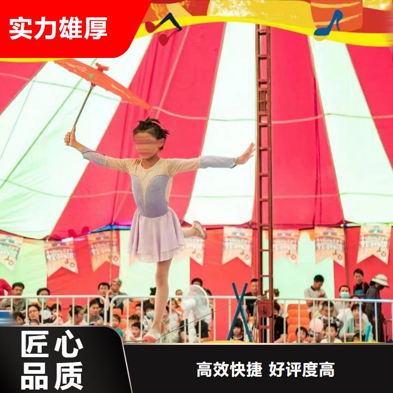 马戏团/羊驼美人鱼表演专业品质