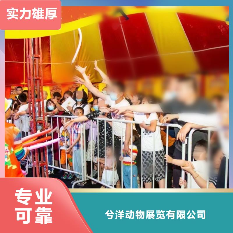 马戏团/羊驼美人鱼表演诚信