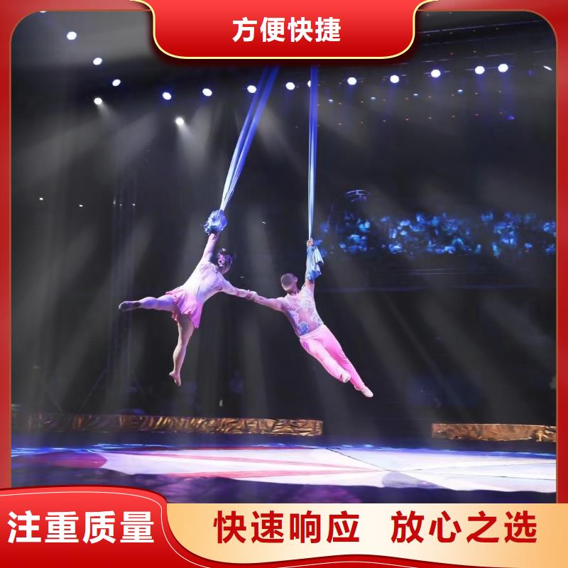 马戏团/羊驼动物杂技表演租赁专业服务