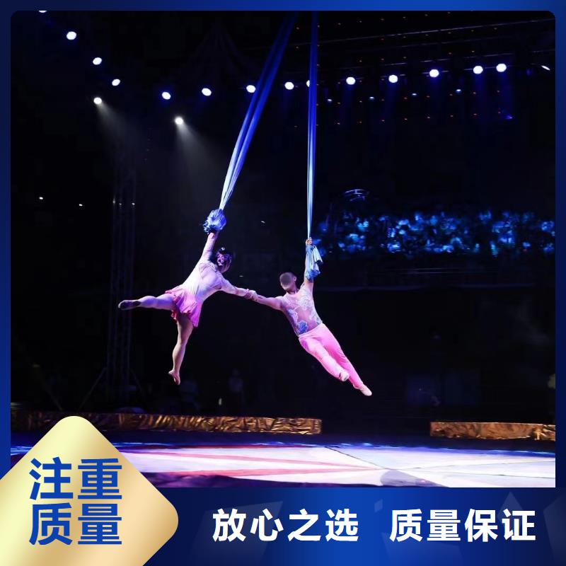 马戏团/羊驼动物展览秀快捷