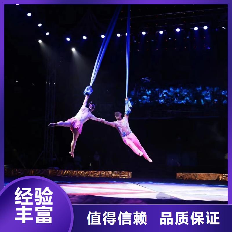 马戏团/羊驼_动物杂技表演效果满意为止