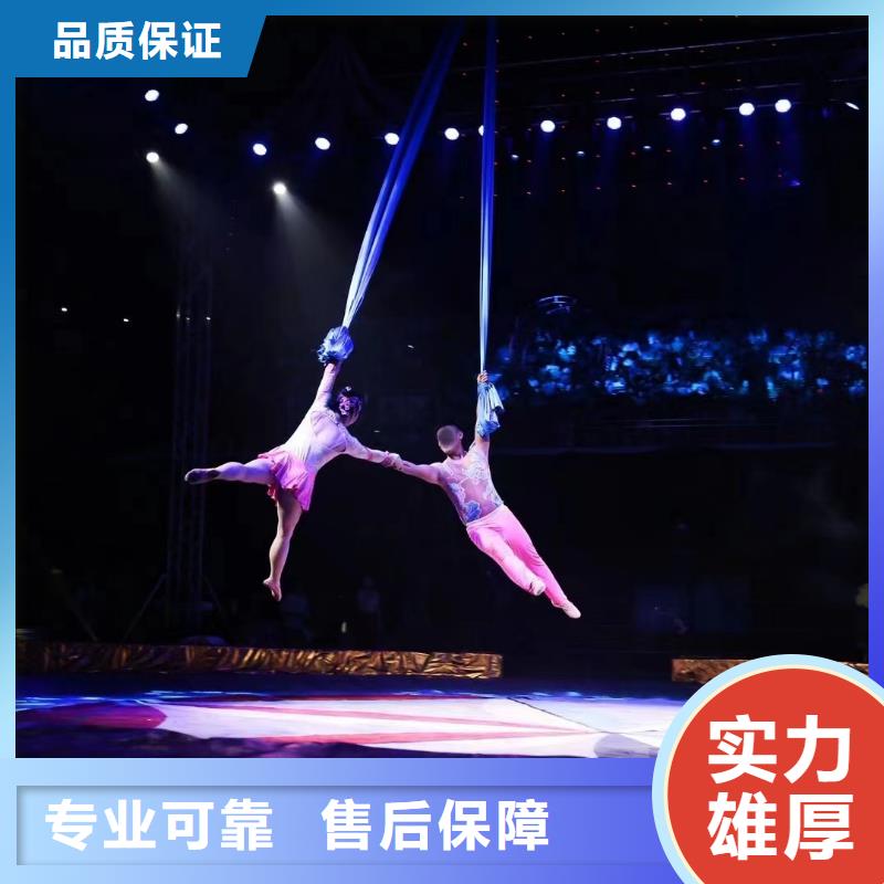 马戏团/羊驼-海洋展租赁实力公司