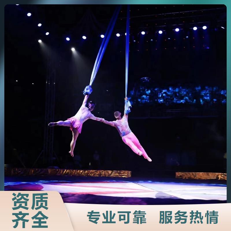 马戏团/羊驼美人鱼表演实力公司