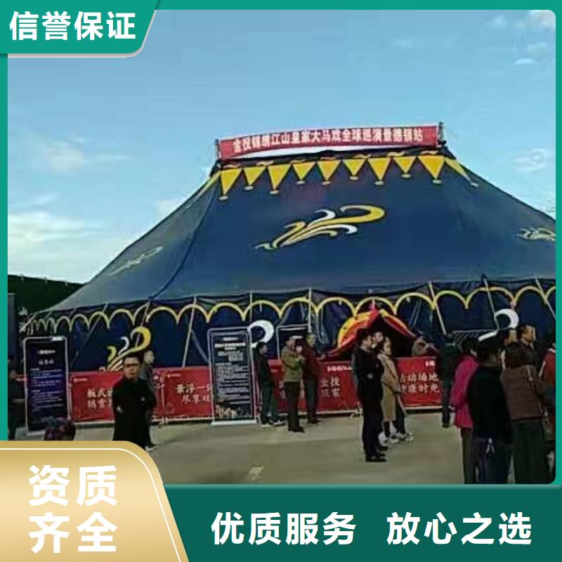 马戏团/羊驼_动物杂技表演效果满意为止