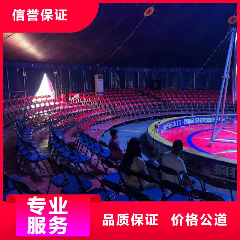 马戏团/羊驼-海洋展租赁精英团队