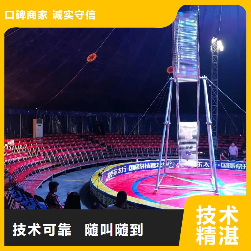 马戏团/羊驼景区杂技表演效果满意为止