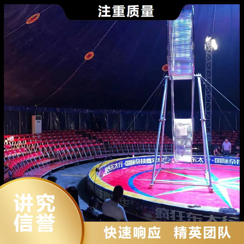 马戏团/羊驼-海洋展租赁实力公司
