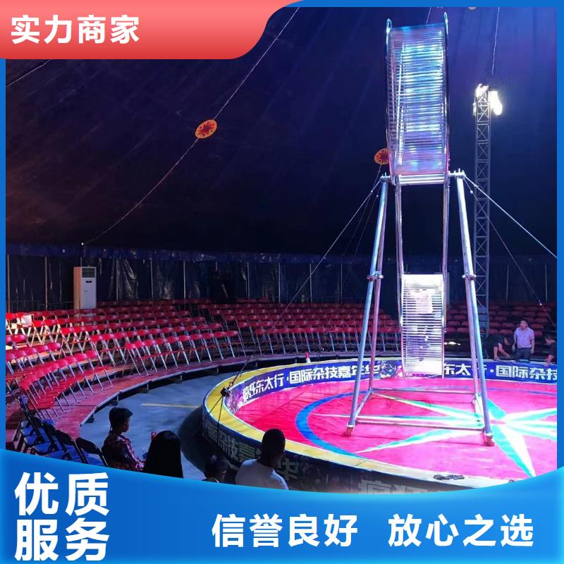 马戏团/羊驼_动物杂技表演效果满意为止