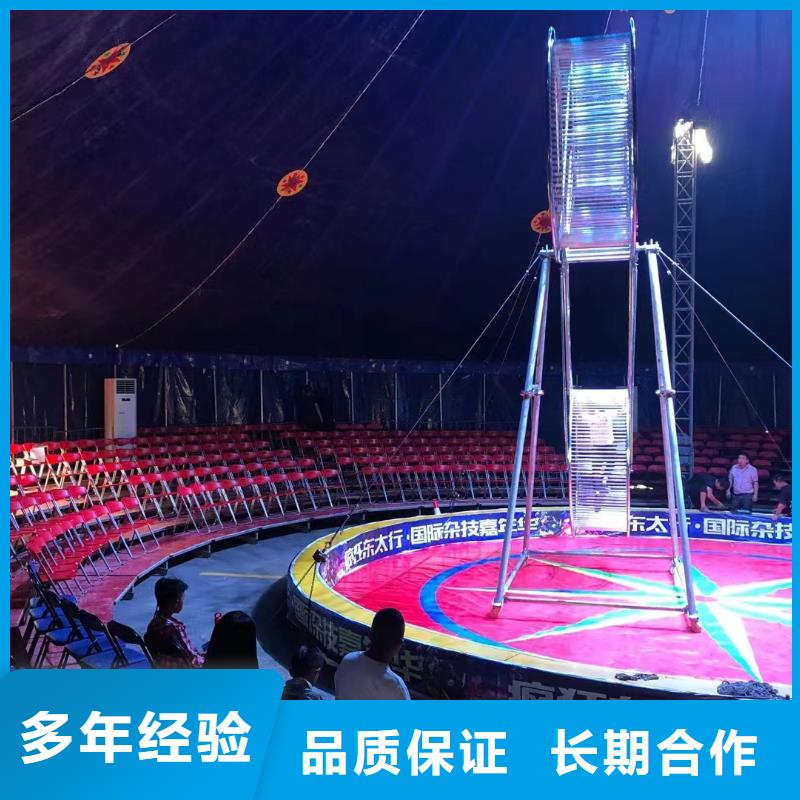 马戏团/羊驼动物展览秀快捷