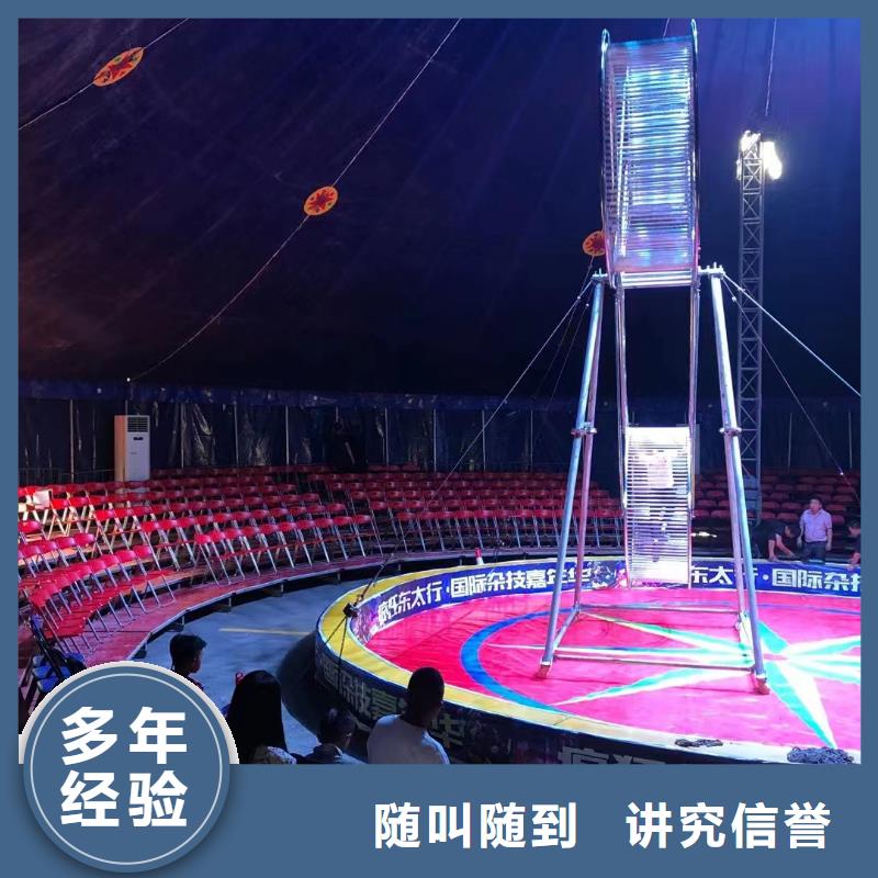 马戏团/羊驼动物杂技表演租赁专业服务