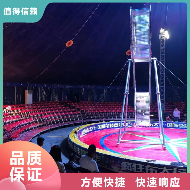 马戏团/羊驼马戏团表演一站搞定
