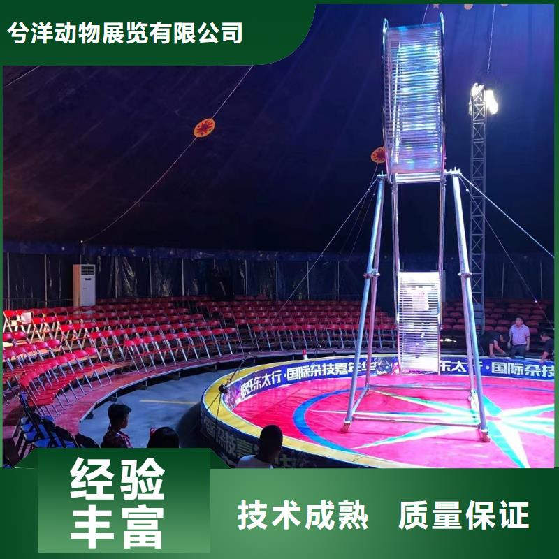马戏团/羊驼-出租表演鹦鹉口碑公司