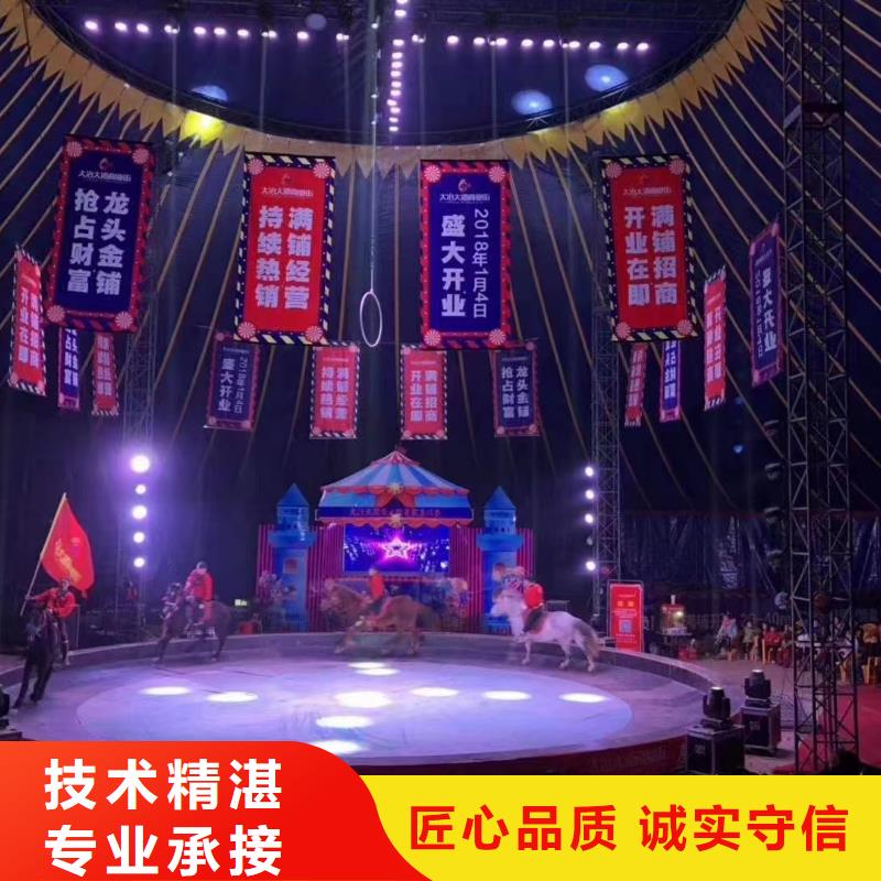 马戏团/羊驼-海洋展租赁实力公司