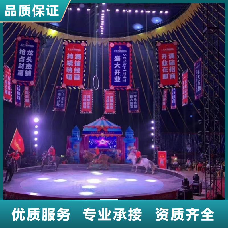 马戏团/羊驼美人鱼表演实力公司