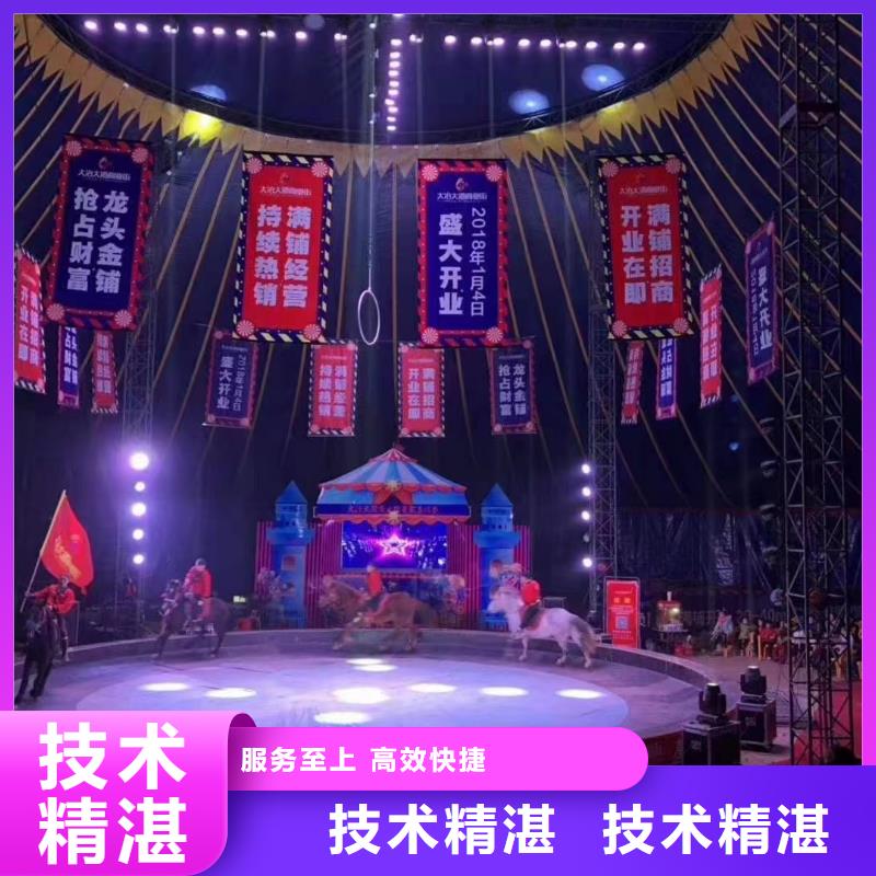 马戏团/羊驼马戏团表演一站搞定