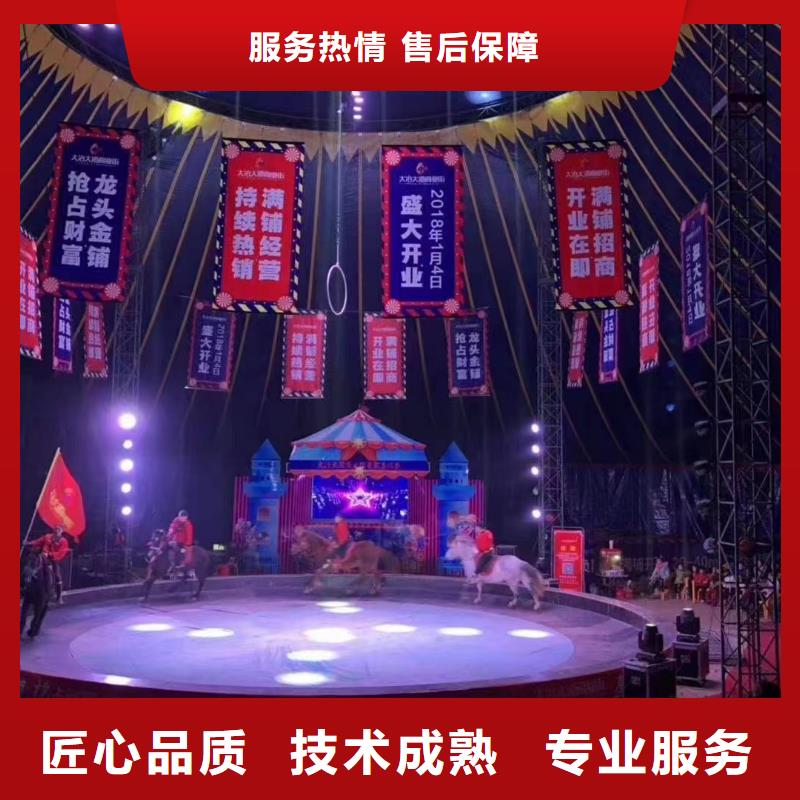 马戏团/羊驼-海洋展租赁实力公司