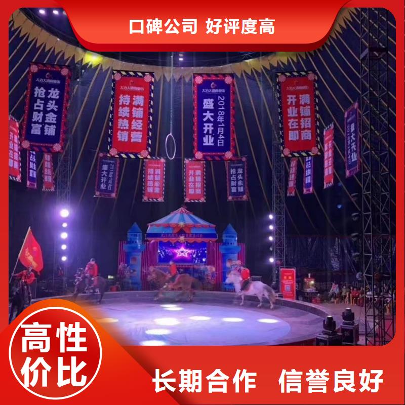 马戏团/羊驼动物杂技表演租赁专业服务
