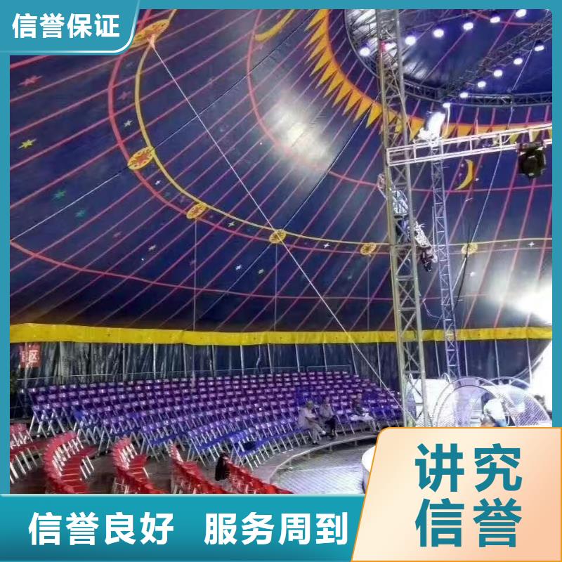 马戏团/羊驼 景区杂技表演先进的技术