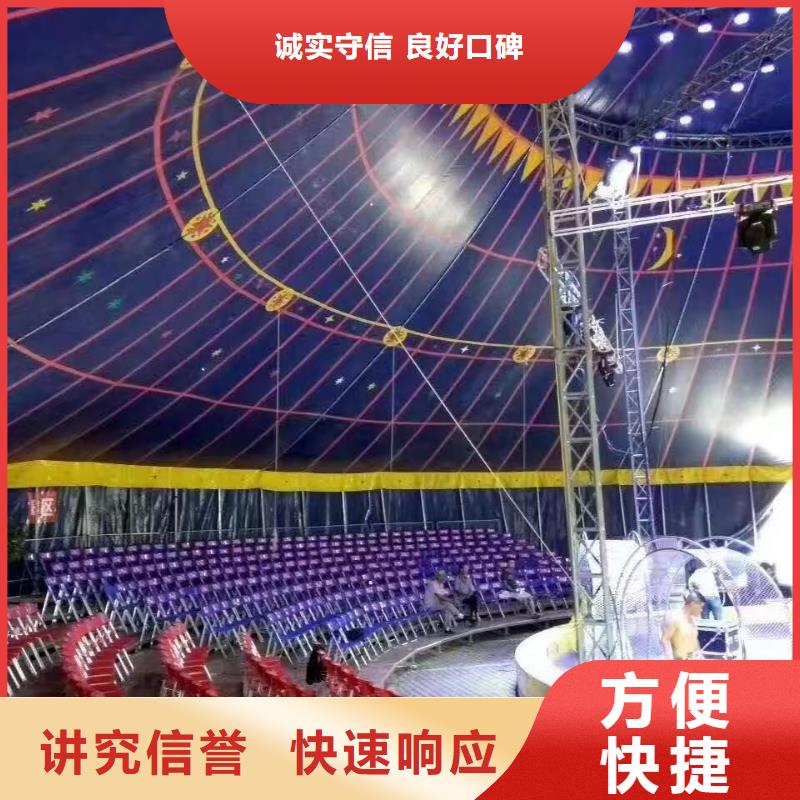 马戏团/羊驼_【活体羊驼租赁】实力雄厚