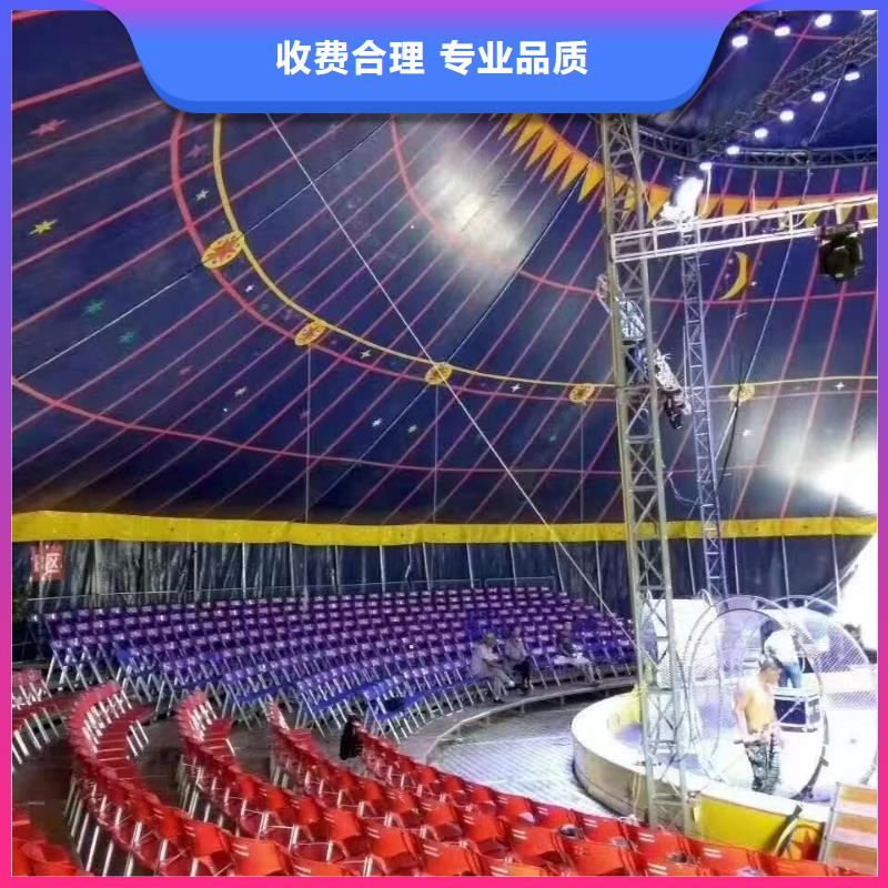 马戏团/羊驼-海洋展租赁精英团队