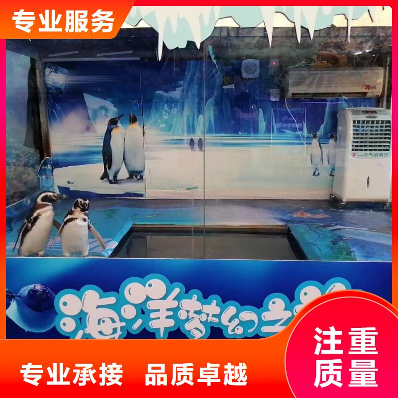 海洋主题动物表演 马戏团表演出租租赁优质服务