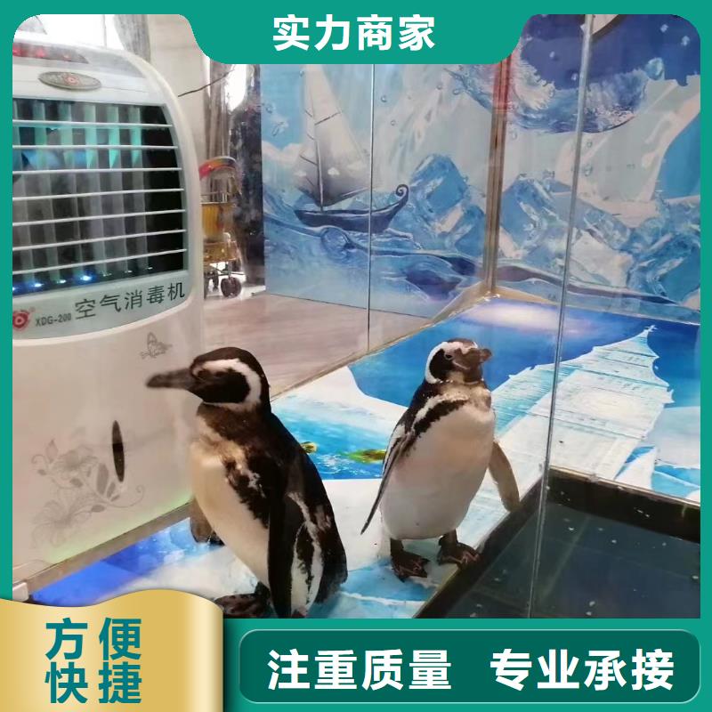 海洋生物展租赁公司全国承接