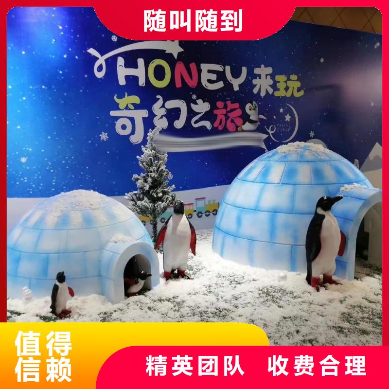 海洋主题动物表演【企鹅租赁】口碑商家