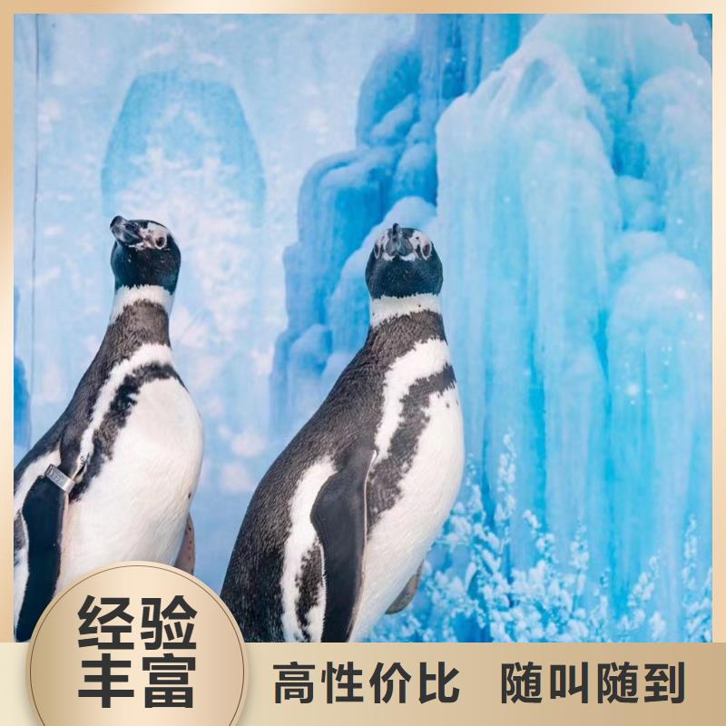海洋生物展租赁公司全国承接