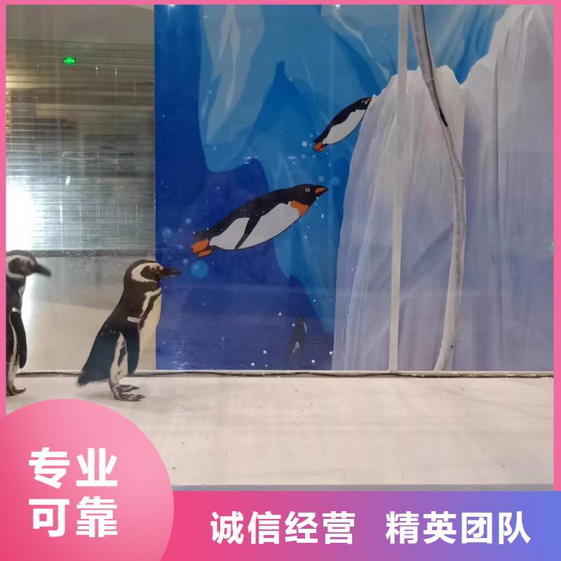 海洋主题动物表演死轮表演