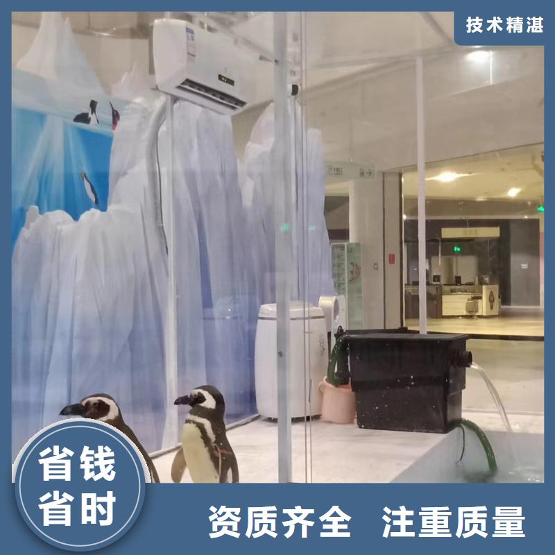 海洋主题动物表演海洋展租赁专业