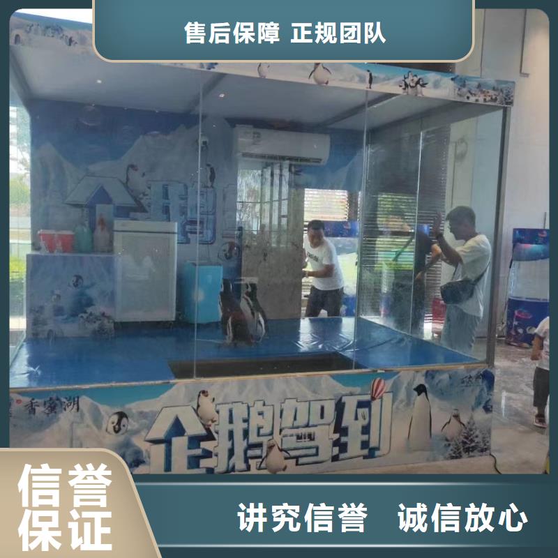 海洋主题动物表演_海狮表演出租收费合理